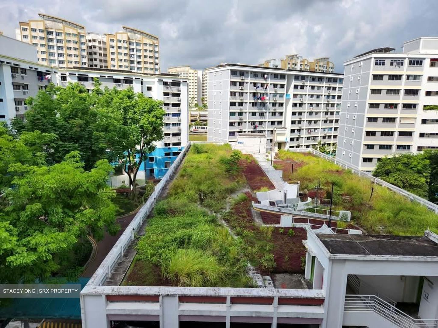 Blk 441 Fajar Road (Bukit Panjang), HDB 5 Rooms #533885931